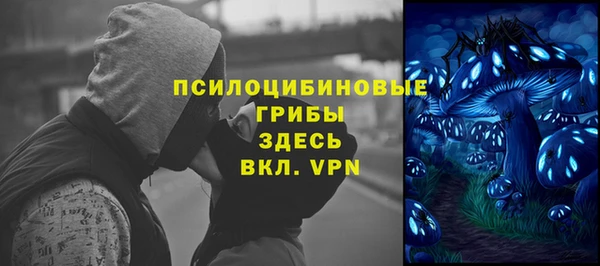 прущие грибы Лабытнанги