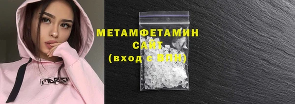 прущие грибы Лабытнанги