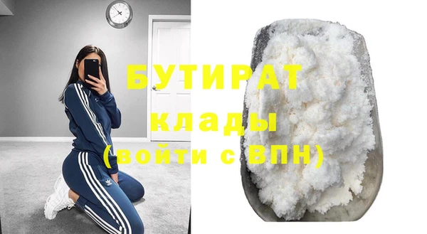прущие грибы Лабытнанги