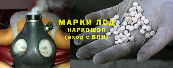 прущие грибы Лабытнанги