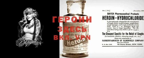 прущие грибы Лабытнанги