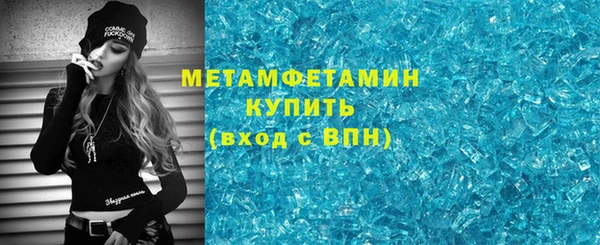 прущие грибы Лабытнанги