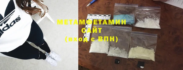 прущие грибы Лабытнанги