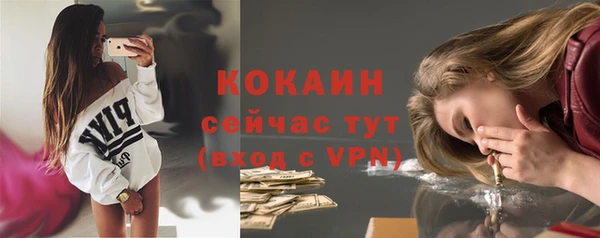винт Лагань