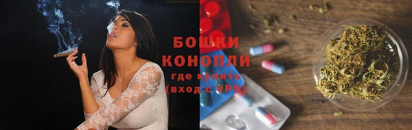 прущие грибы Лабытнанги