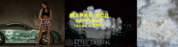 винт Лагань