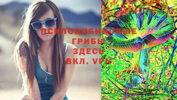 прущие грибы Лабытнанги
