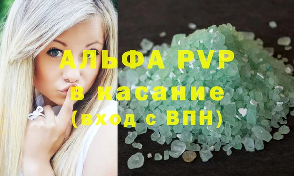 прущие грибы Лабытнанги