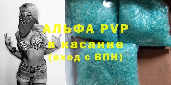 прущие грибы Лабытнанги