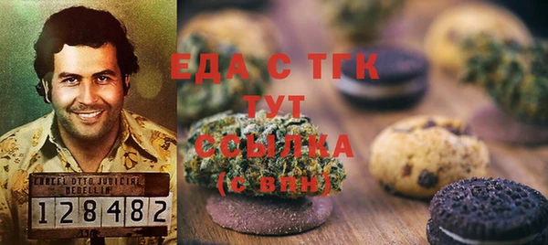 винт Лагань