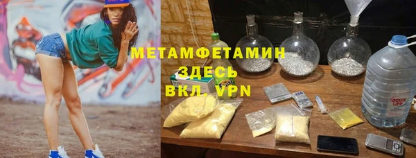 прущие грибы Лабытнанги