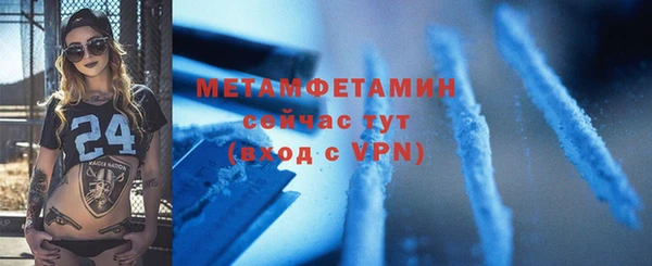 прущие грибы Лабытнанги